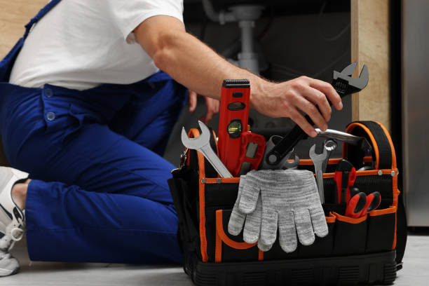 Best Plumbing Inspection Services  in Harrison, MI