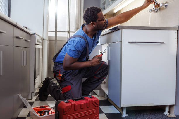 Best Plumbing Inspection Services  in Harrison, MI
